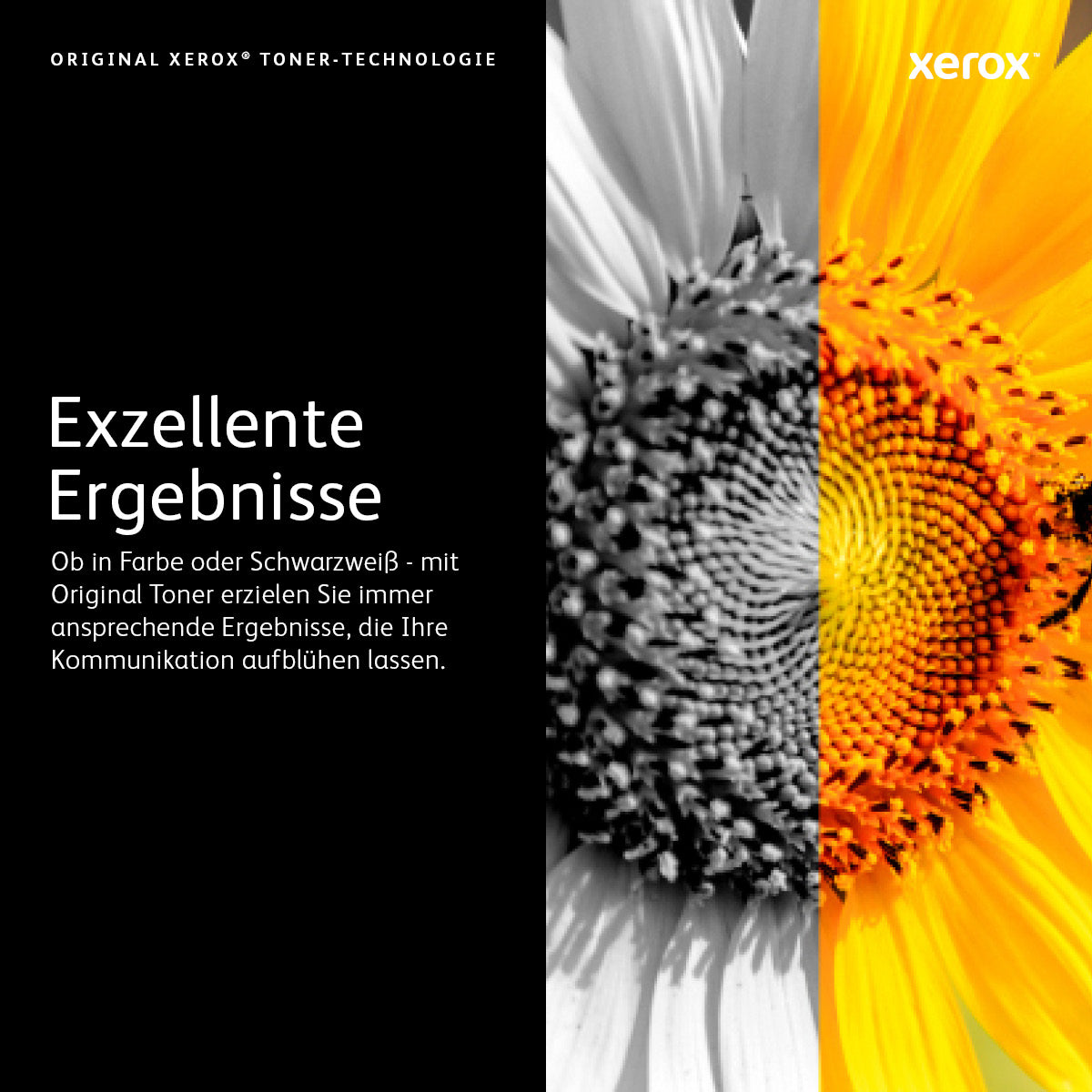 Xerox Toner – gelb, 2500 Seiten