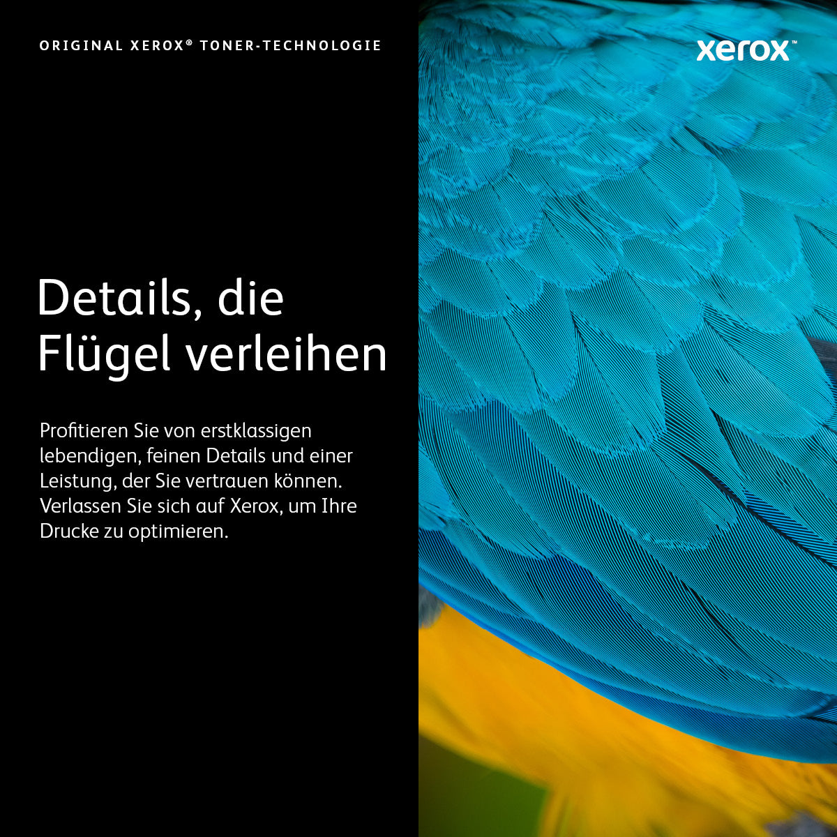 Xerox Toner 106R03922 – Gelb, 16800 Seiten – für VersaLink C600