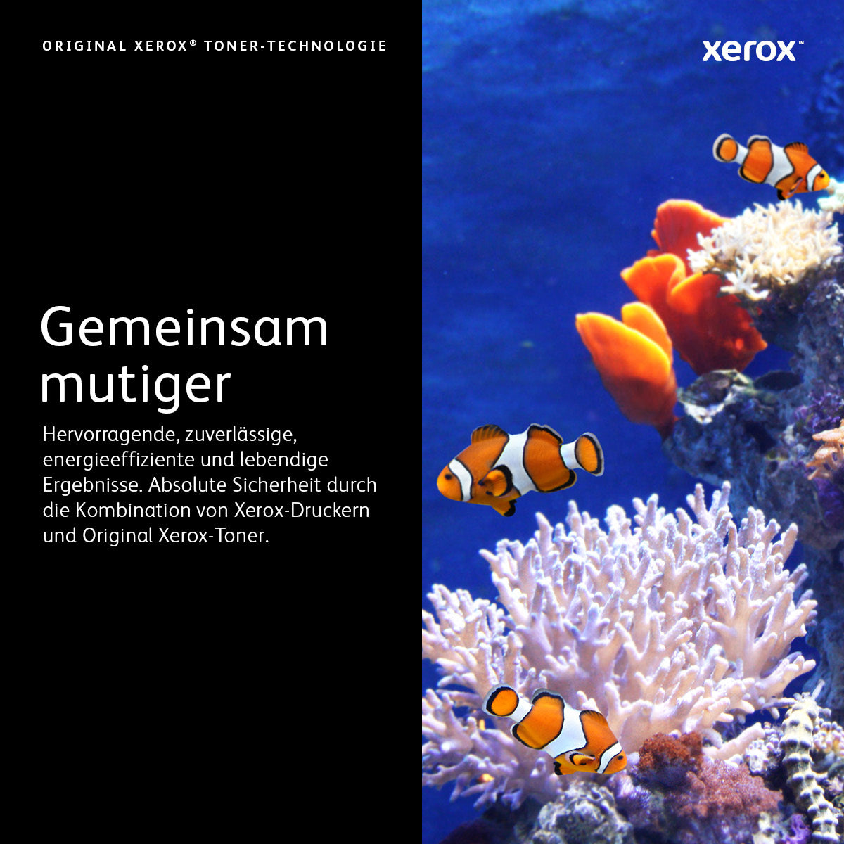 Xerox Toner 106R03922 – Gelb, 16800 Seiten – für VersaLink C600