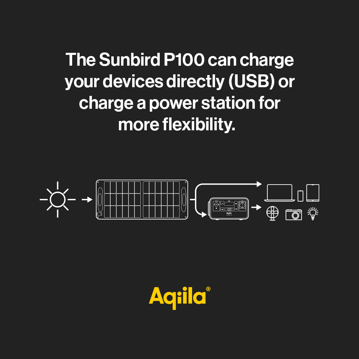 Aqiila Sunbird P100 Solarpanel-Ladegerät 100 W – Monokristallin, IP65, USB-C×1, USB-A×1