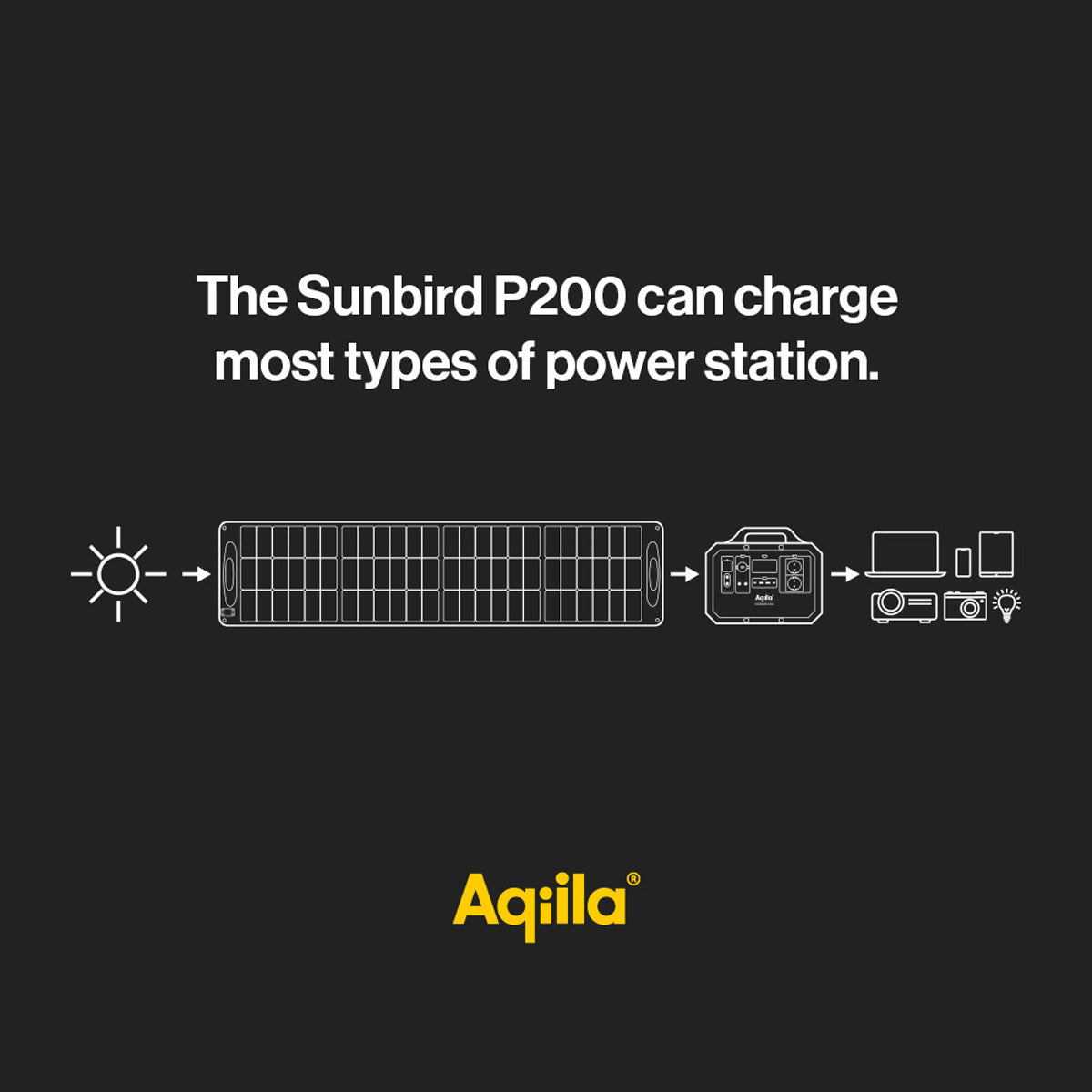 Aqiila Sunbird P200 Solarpanel – 200 W, faltbar, verstellbarer Ständer, IP65, schwarz