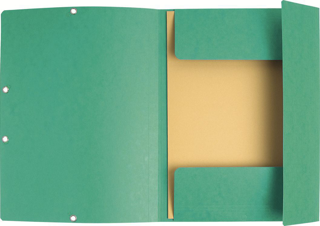 Exacompta Gummibandmappe A4 – Karton, Grün, 3 Klappen, bis 250 Blatt, 10 Stk.
