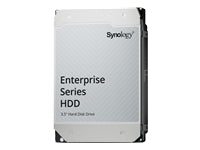 Synology HAT5310-20T – 3,5" SATA HDD, 7'200 U/min, 512 MB Cache