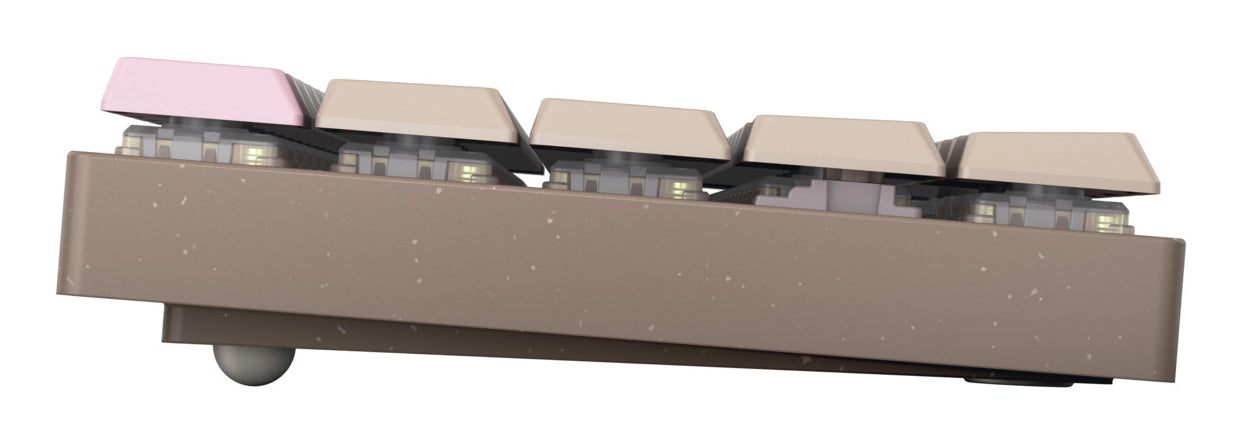 CHERRY MX-LP 2.1 Kompakt Kabellos – Tastatur, Kabellos (Bluetooth/2,4 GHz), US-Layout (EN) – für Windows
