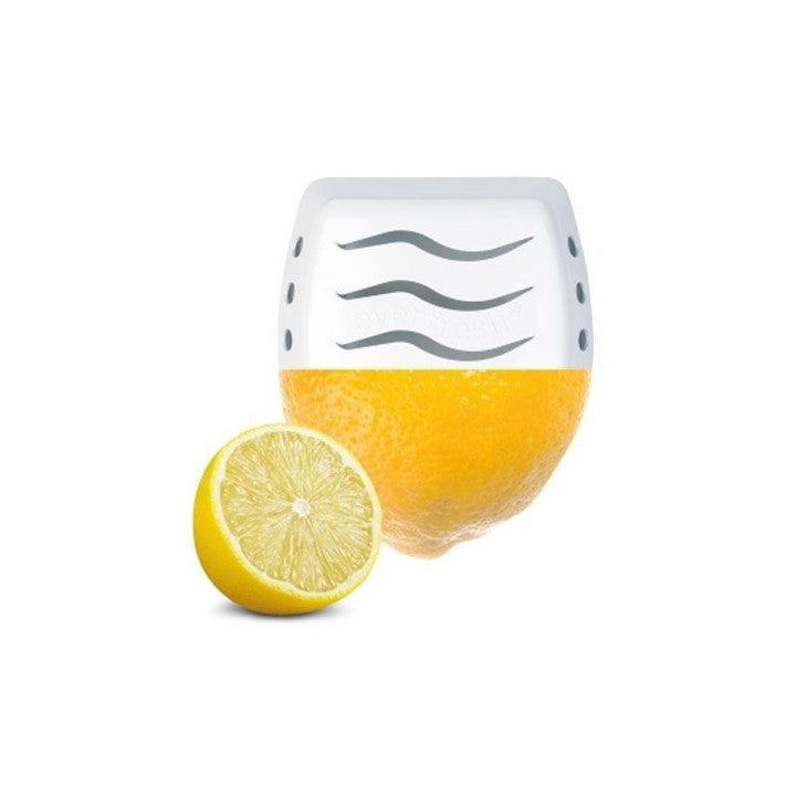 Clear+ Nachfüllung für Duftstäbchen, Breeze of Lemon, 30er-Pack