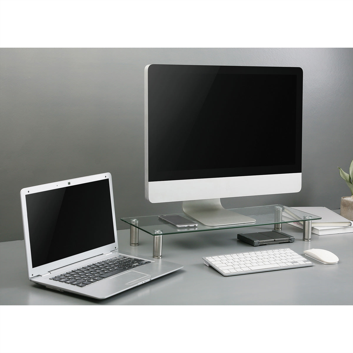 ROLINE Monitor-Tischständer – freistehend – 1 Monitor – bis 20 kg/Monitor – höhenverstellbar – transparent