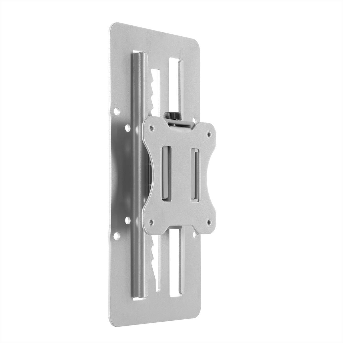 ROLINE VESA-Adapterplatte – bis 27" – VESA 75×75/100×100 mm – bis 8 kg/Monitor – höhenverstellbar – silber