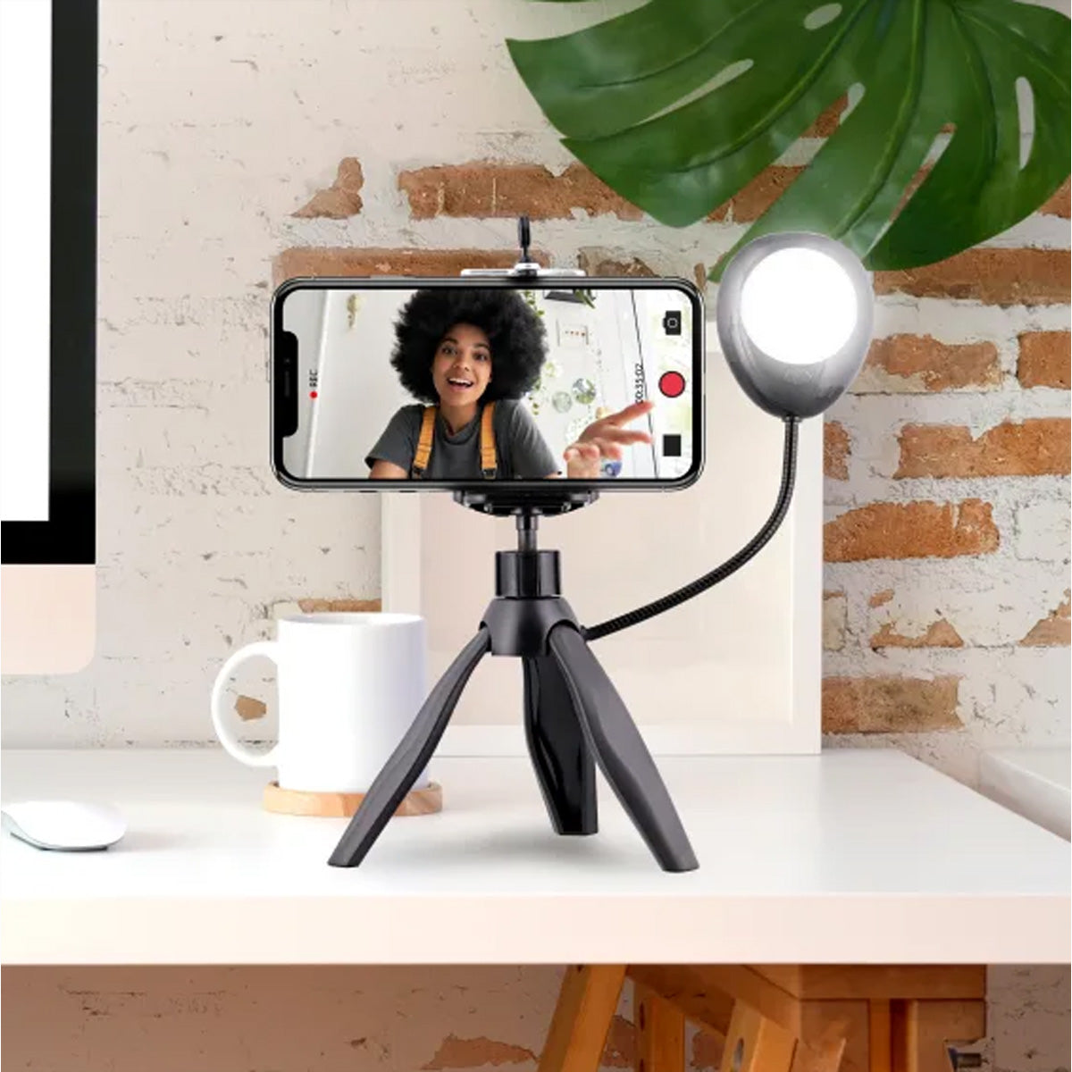 T'nB Mini-Stativ mit LED – 20 cm – 7500 K, 3 Stufen, 360° – für Smartphones bis 6,5" – Schwarz