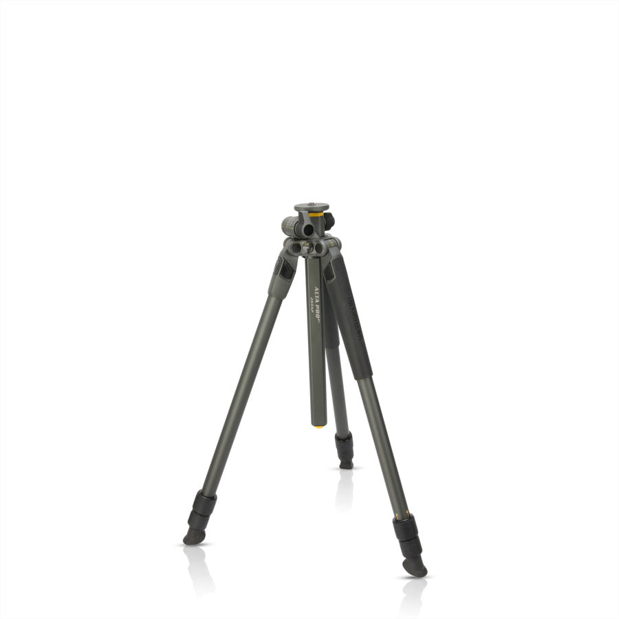 Vanguard Alta Pro 2+ 263AP Stativ – Aluminium, 26 mm, 3 Abschnitte, 175,2 cm, Traglast 5 kg – Grau