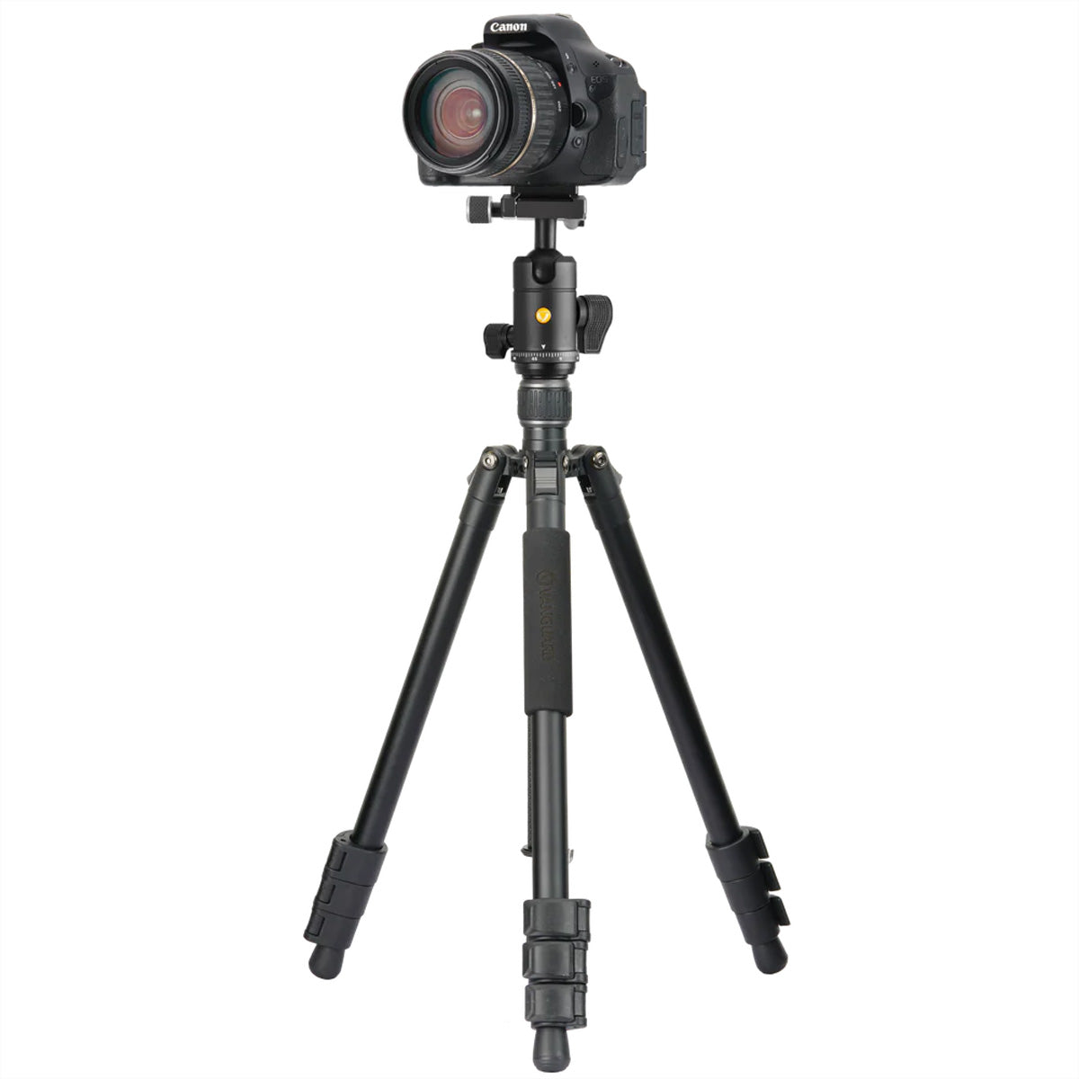 Vanguard VESTA GO 264AB Reisestativ – 161,5 cm – 10 kg Traglast – für spiegellose Kameras, kleine DSLR