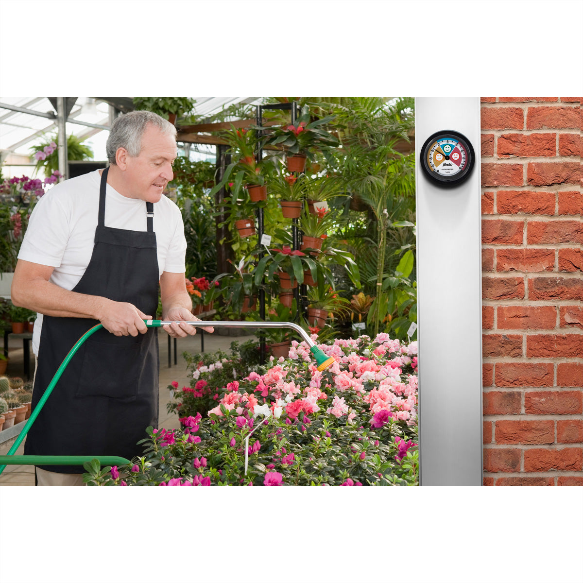 Alecto WS-05 – Thermo-/Hygrosensor, batteriefrei – schwarz