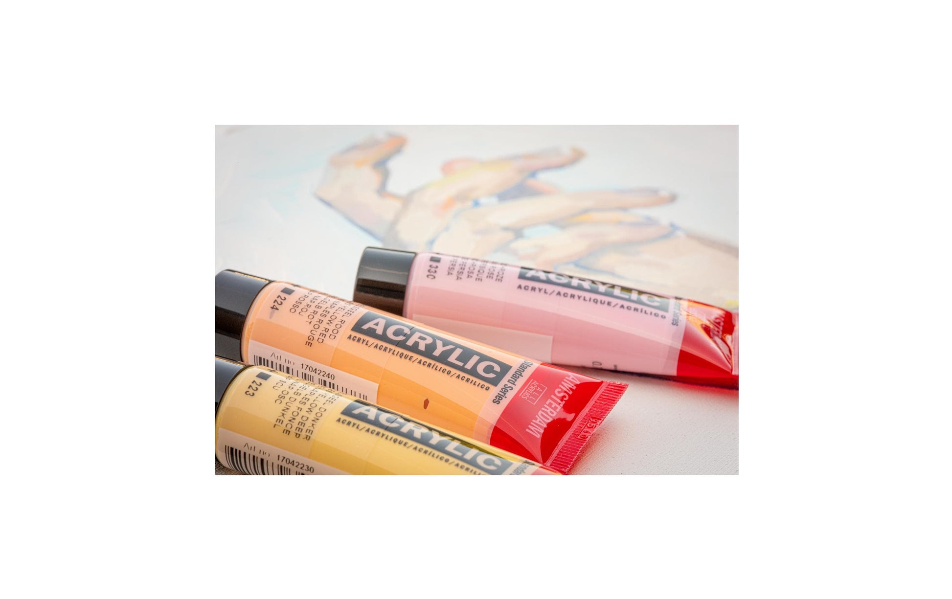 Royal Talens Amsterdam – Acryl Standard – Acrylfarbe – Set – 12 Farben, sortiert, 12 × 20 ml