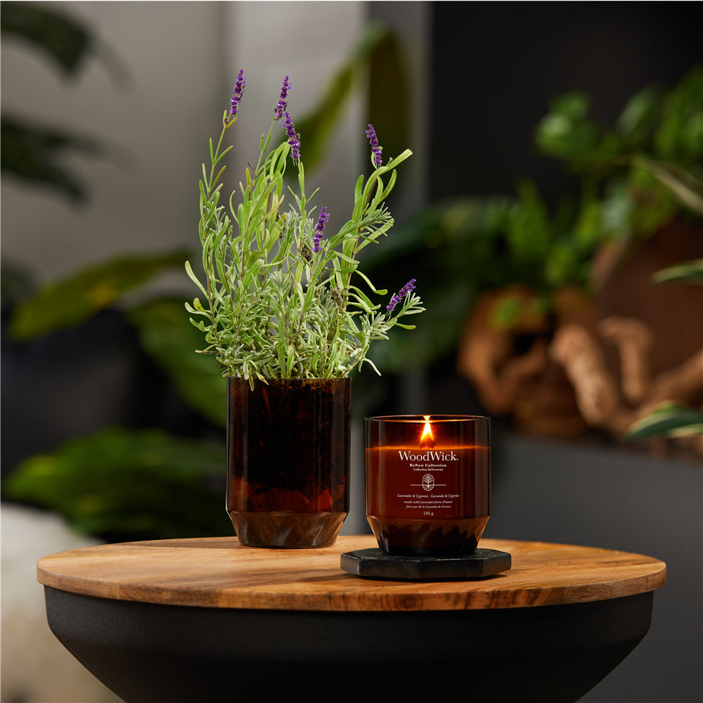 WoodWick Duftkerze – Lavendel & Zypresse – Ø 8 × 9,6 cm