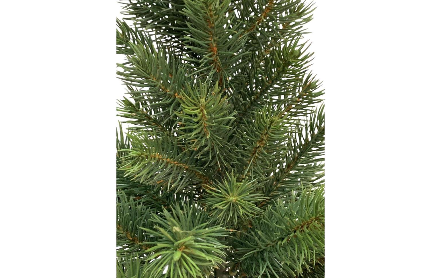 Botanic-Haus Künstlicher Baum – Ø 18 × 41 cm – Kunststoff, Grün – 1-teilig