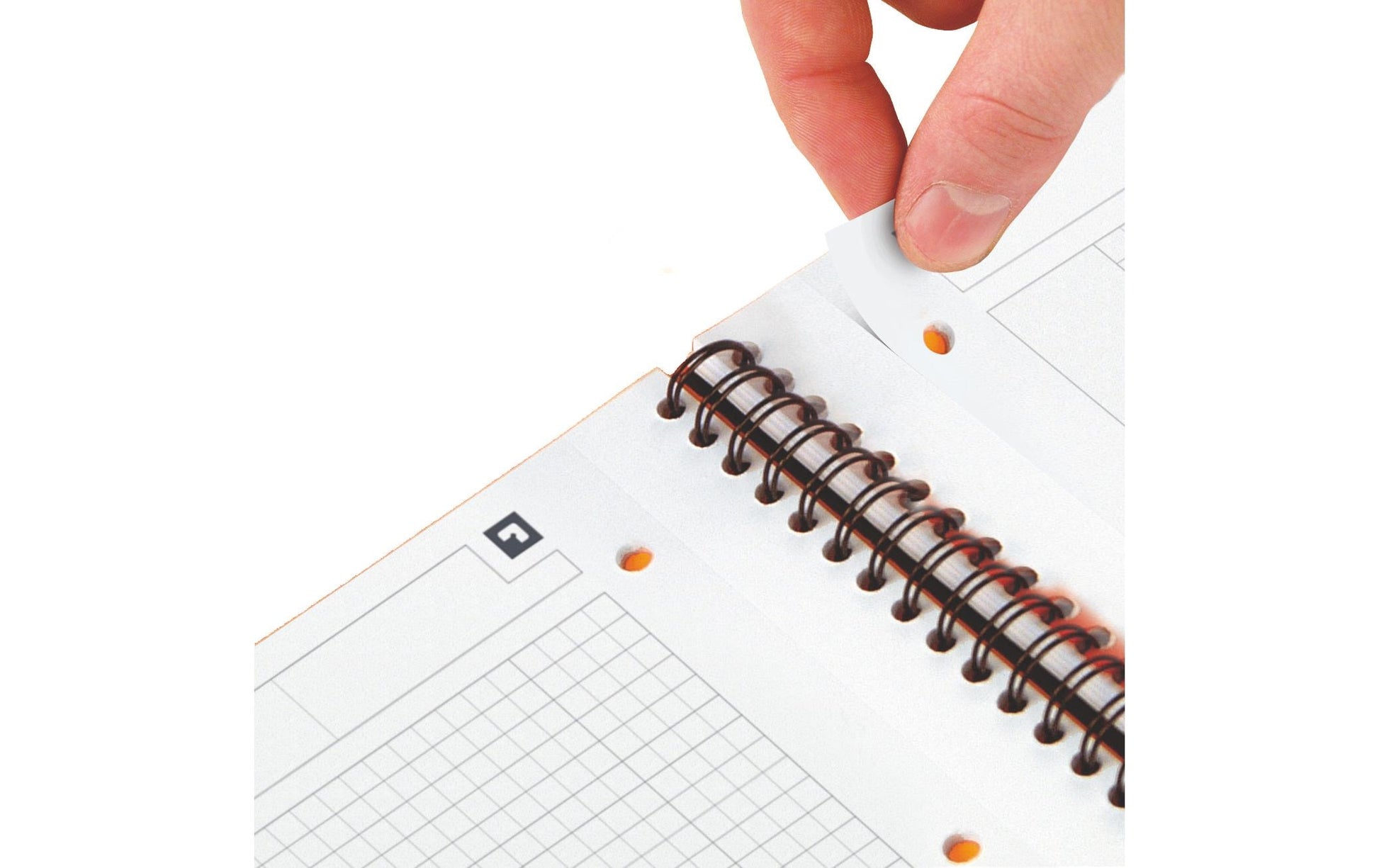 Oxford Collegeblock, Karton, 80 Blatt, 4-fach gelocht, perforiert, 80 g/m² – Grau, für SCRIBZEE App