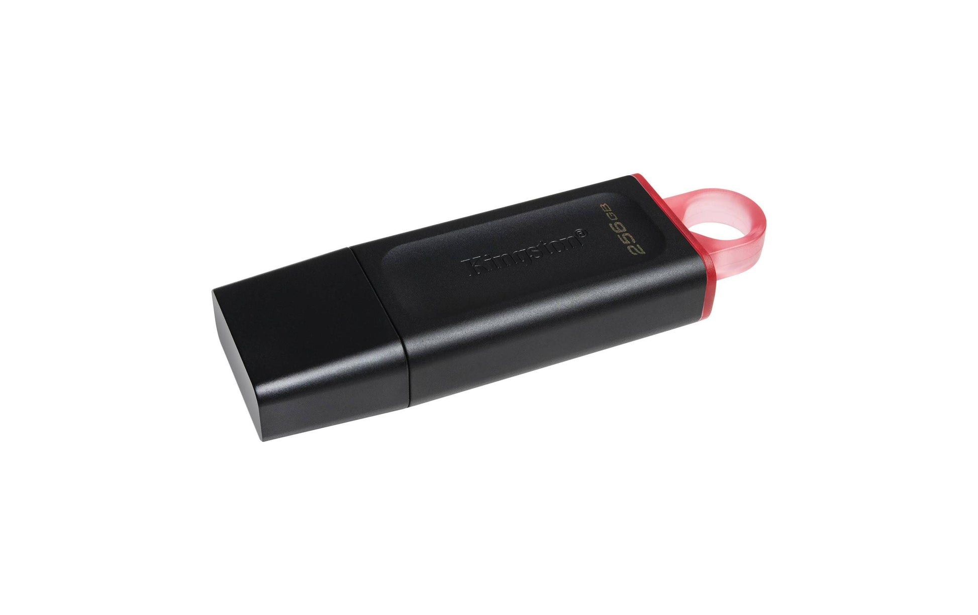 Kingston Technology Kingston DT Exodia USB-Stick – 256 GB, USB 3.2 Gen 1, Schwarz, Pink