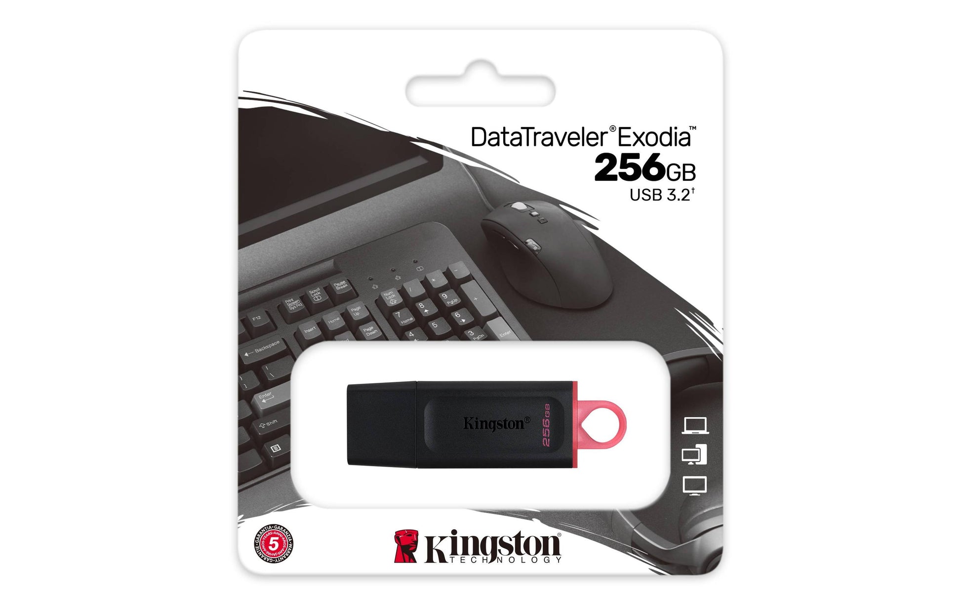Kingston Technology Kingston DT Exodia USB-Stick – 256 GB, USB 3.2 Gen 1, Schwarz, Pink