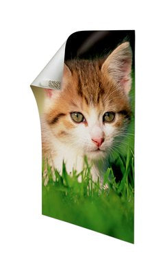 3M Command Montagepad – 15 × 50 mm, weiss, bis 0,4 kg, 12 Stk., für Holz