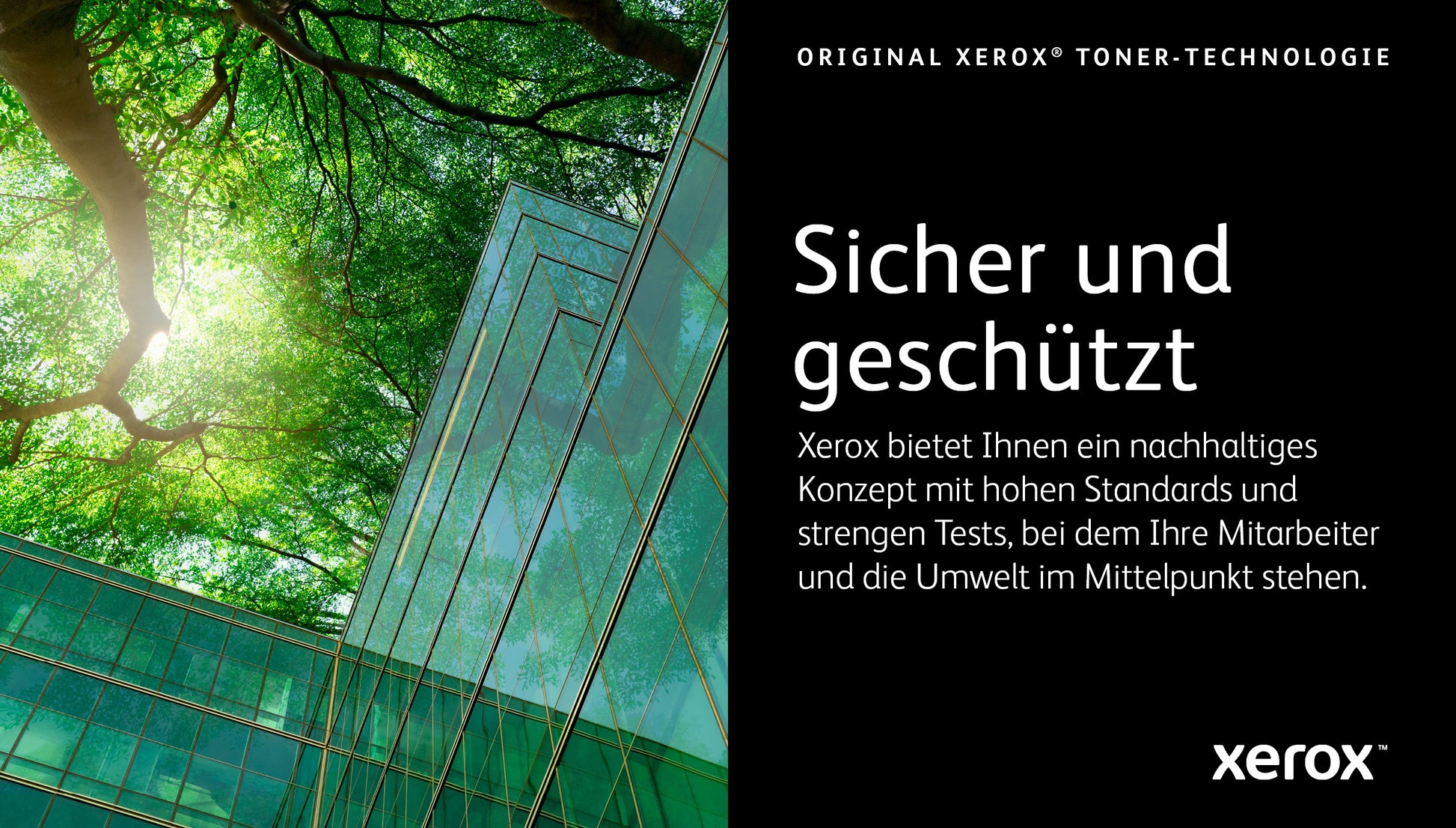 Xerox Toner 006R04619 – Gelb, 6000 Seiten – für VersaLink C625