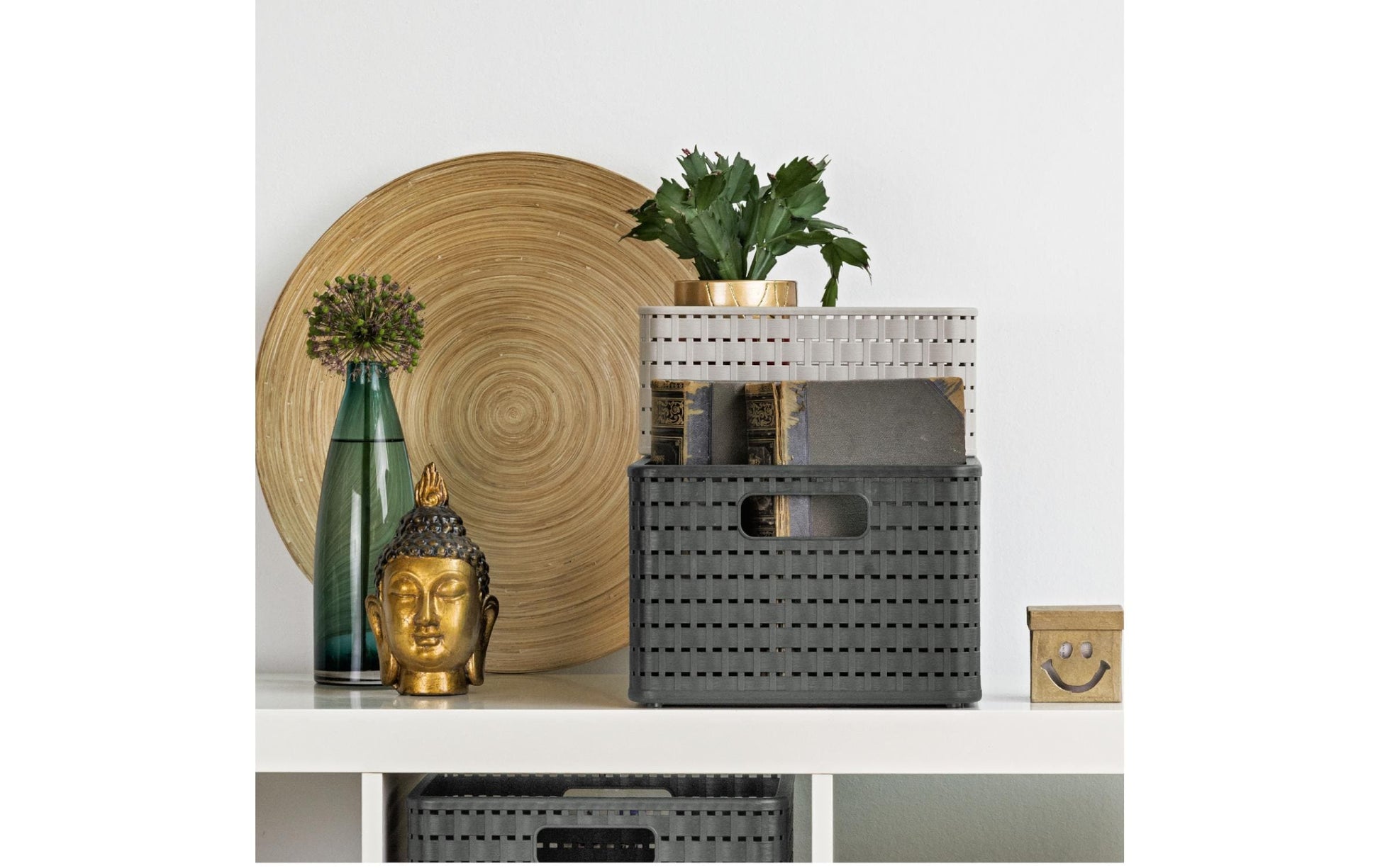 Rotho Country Aufbewahrungsbox 14 l – Kunststoff – Anthrazit – mit Griffen – 300 × 160 × 328 mm