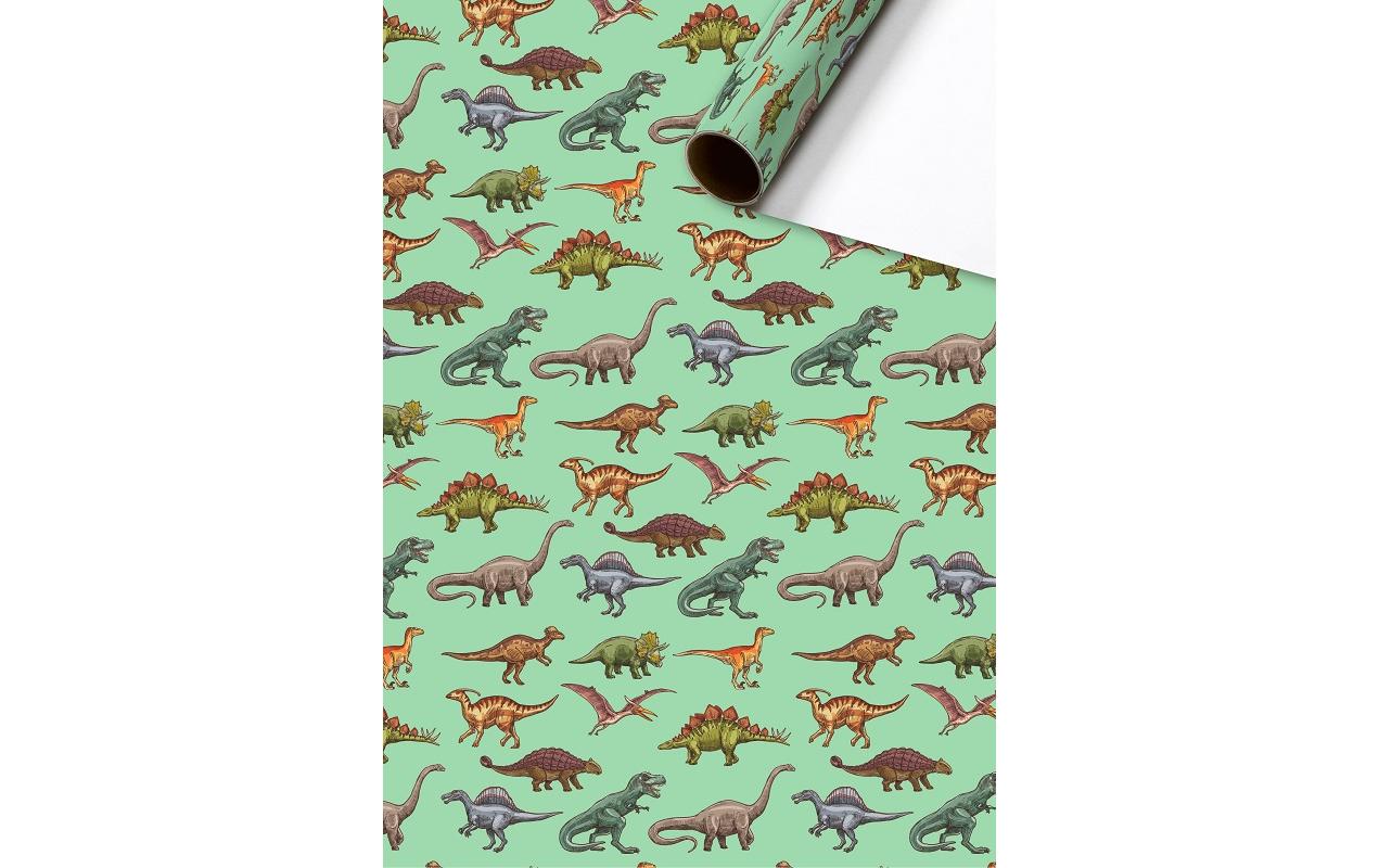 Stewo Geschenkpapier – Saurus – 80 g/m2 – 700 × 2000 mm – mehrfarbig