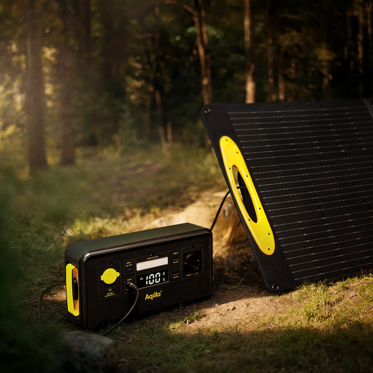 Aqiila Sunbird P100 Solarpanel-Ladegerät 100 W – Monokristallin, IP65, USB-C×1, USB-A×1