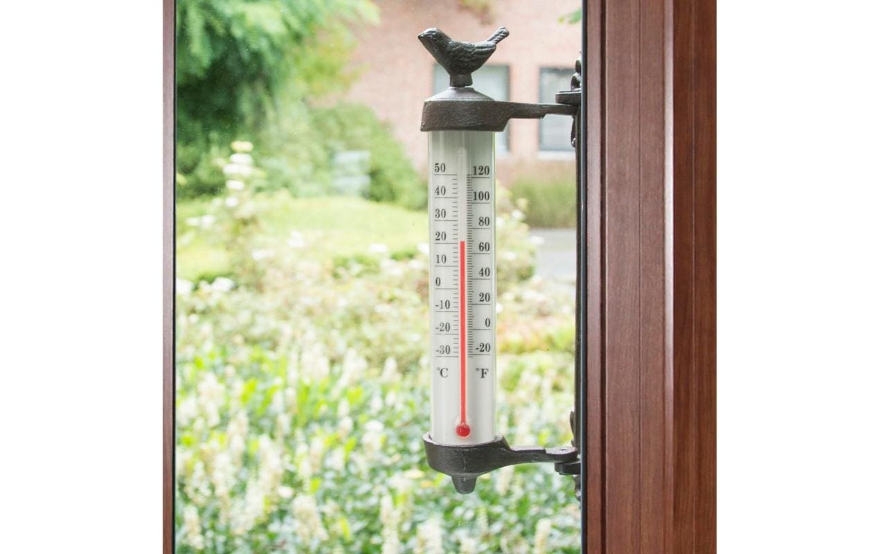 Esschert Design BR20 Vogel Temperatursensor – −30–50 °C, Aussen