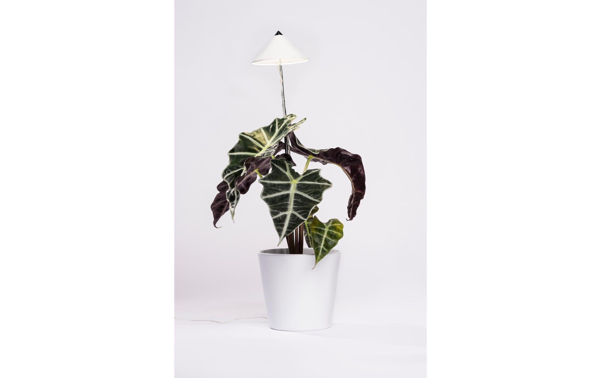 Venso EcoSolutions Pflanzenleuchte SUNLiTE – 100 cm, 660 lm, 7 W, Warmweiss, IP54, Weiss/Chrom, Vollspektrum