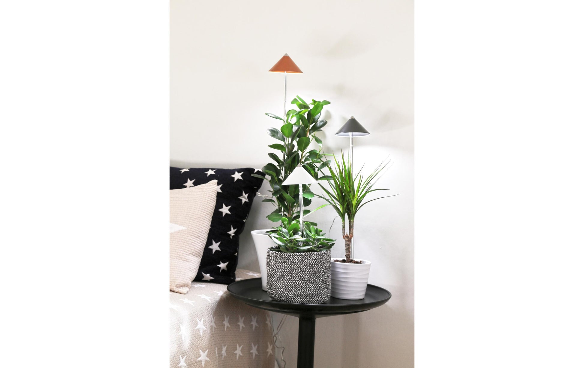 Venso EcoSolutions Pflanzenleuchte SunLite – 660 lm, 7 W, Neutralweiss, 5084 K, IP54, Anthrazit/Chrom