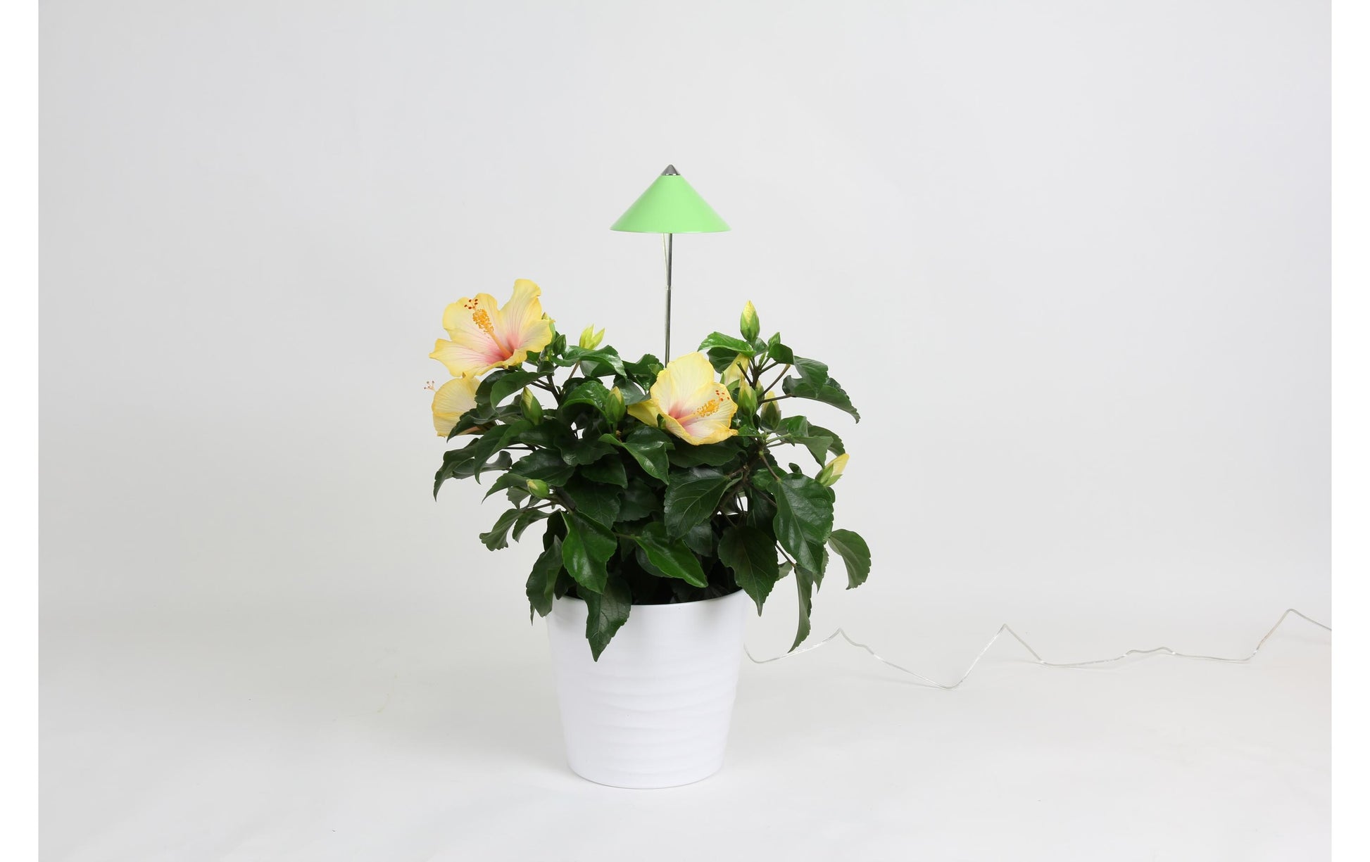 Venso EcoSolutions Pflanzenleuchte SunLite – 660 lm, 7 W, 5084 K, IP54, grün/chrom, Vollspektrum