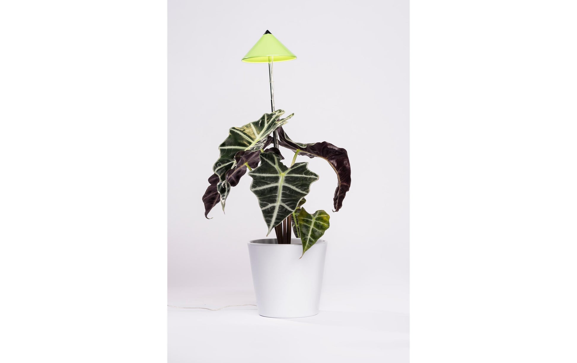 Venso EcoSolutions Pflanzenleuchte SunLite – 660 lm, 7 W, 5084 K, IP54, grün/chrom, Vollspektrum