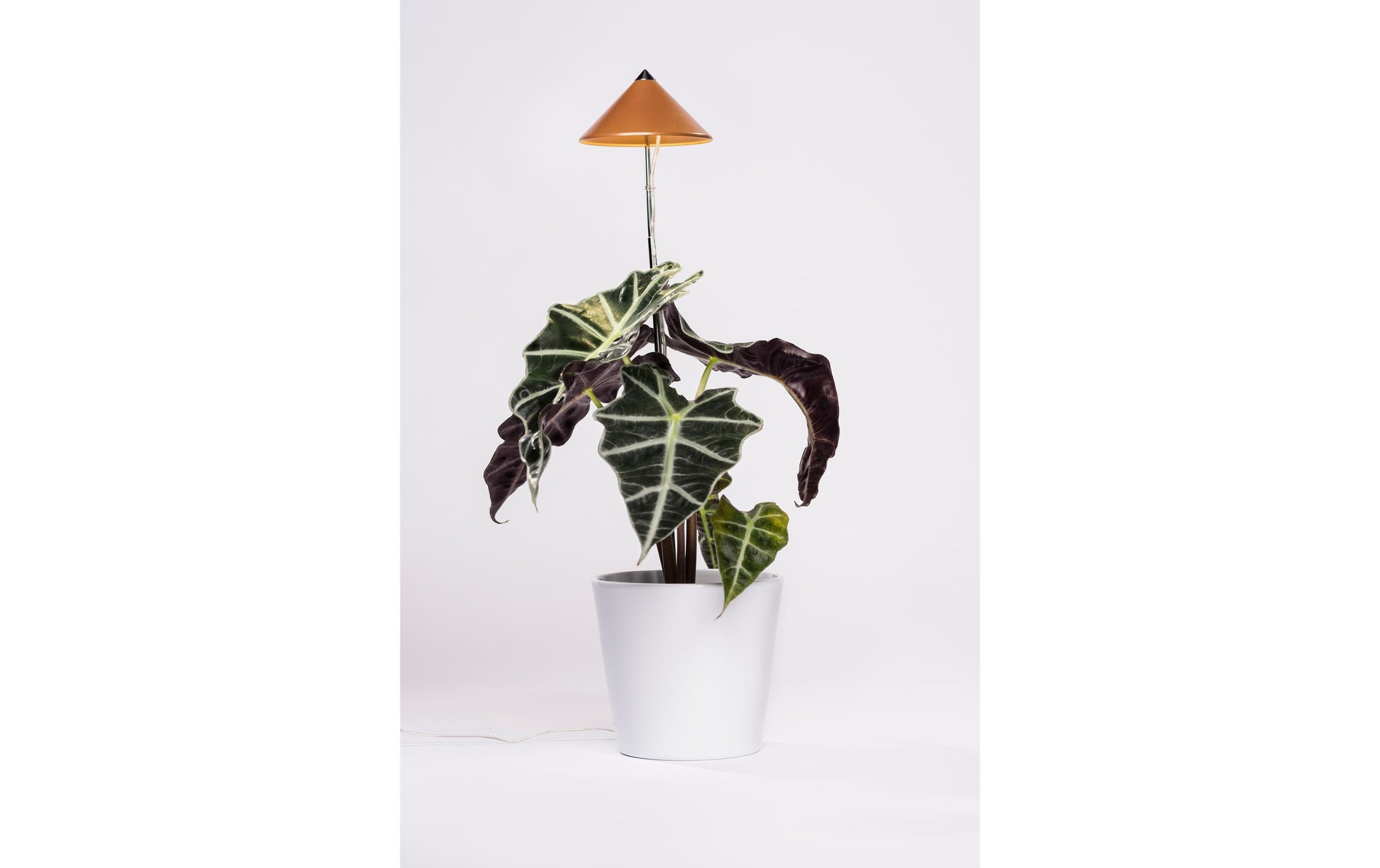 Venso EcoSolutions Pflanzenleuchte SUNLiTE – 7 W, 660 lm, IP54, Vollspektrum – Kupfer