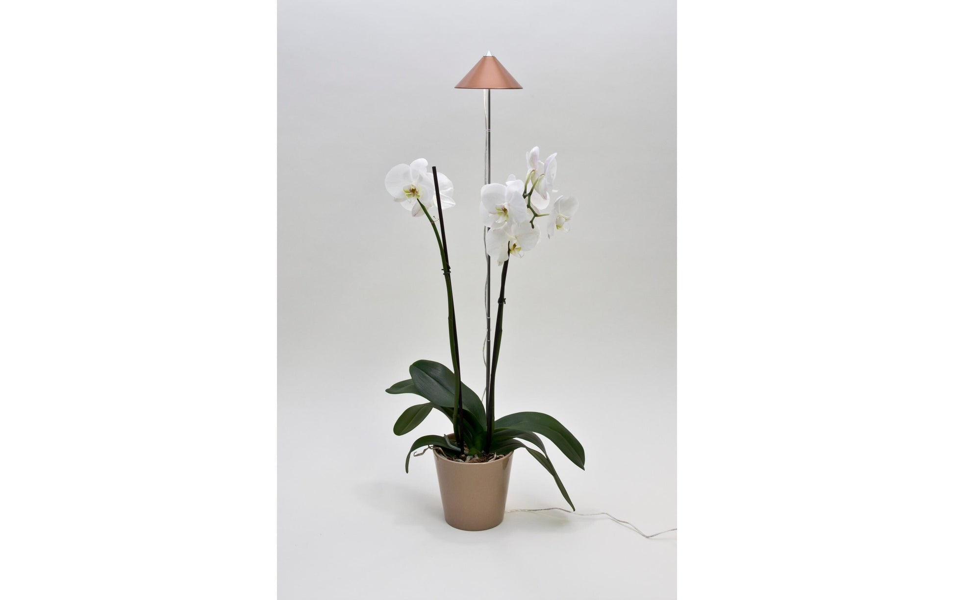 Venso EcoSolutions Pflanzenleuchte SUNLiTE – 7 W, 660 lm, IP54, Vollspektrum – Kupfer