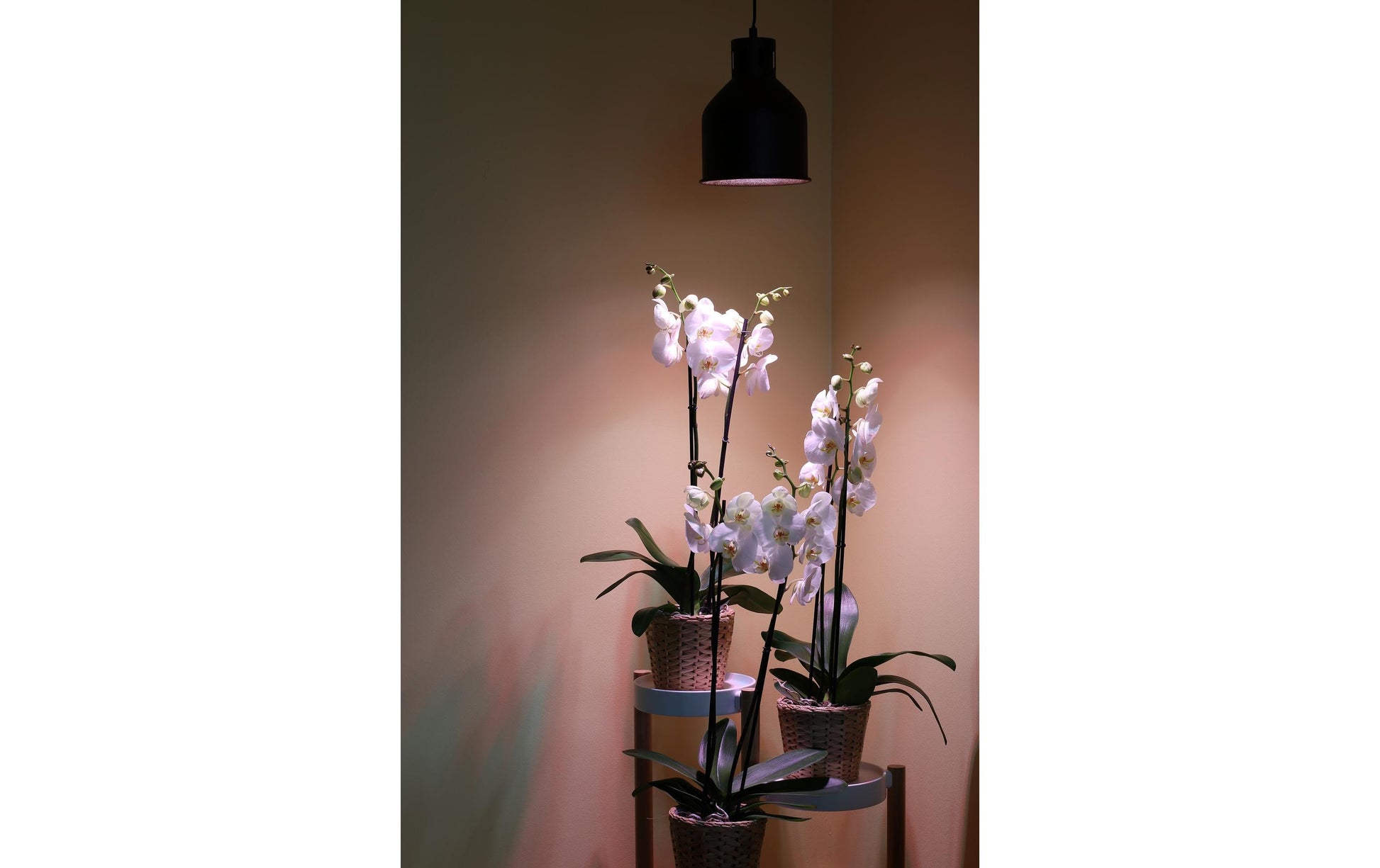 Venso EcoSolutions Lampenschirm E27 – Ø 18 cm, H 22 cm – IP20 – 1 Stk. – Kupfer, Metall – Saga