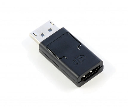 Lenovo Adapter DisplayPort zu HDMI – 1920 × 1200 – Schwarz