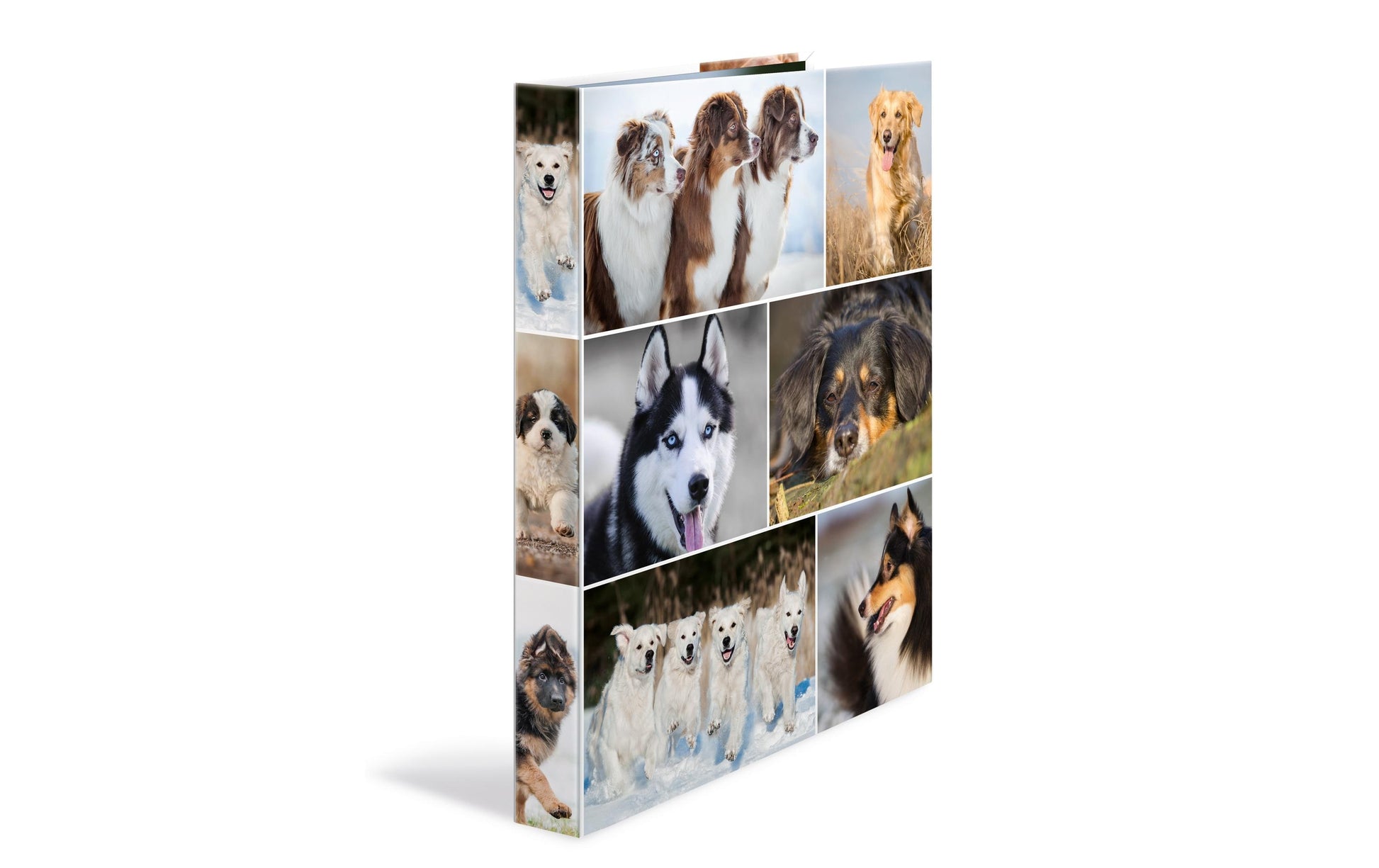 HERMA Zeigebuch Animals – A4 Hochformat – 2-Ring Bügelmechanik, Rücken 35 mm – Mehrfarbig, Karton, mit Niederhalte