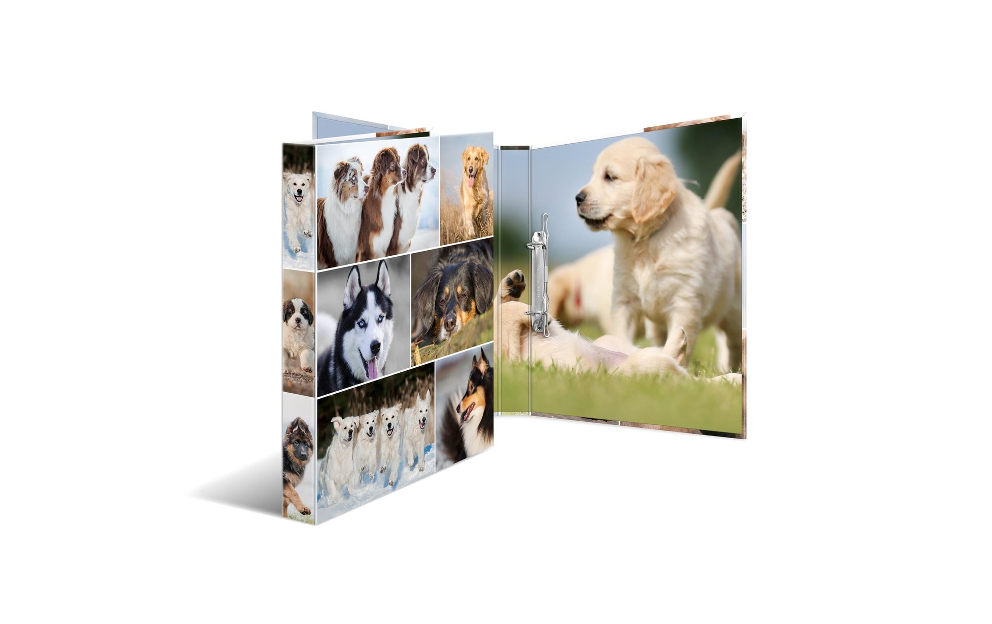 HERMA Zeigebuch Animals – A4 Hochformat – 2-Ring Bügelmechanik, Rücken 35 mm – Mehrfarbig, Karton, mit Niederhalte