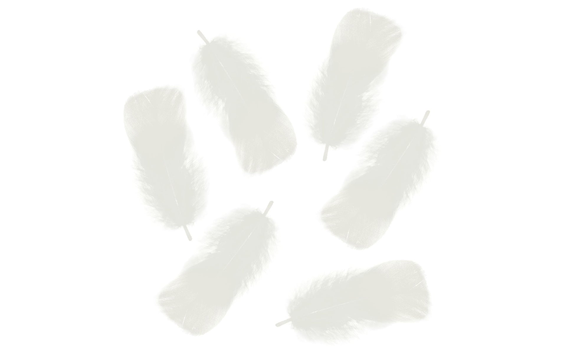 URSUS Flauschfedern, Weiss, 10–15 cm, 100 g, 1 Stk.