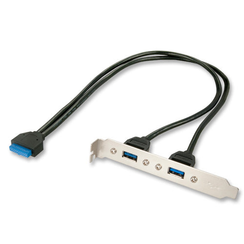 Lindy USB 20-Pin DIP auf 2× USB-A Verlängerungskabel – USB 3.2 Gen 1 (5 Gbit/s) – 0,4 m – für PC-Rückwand