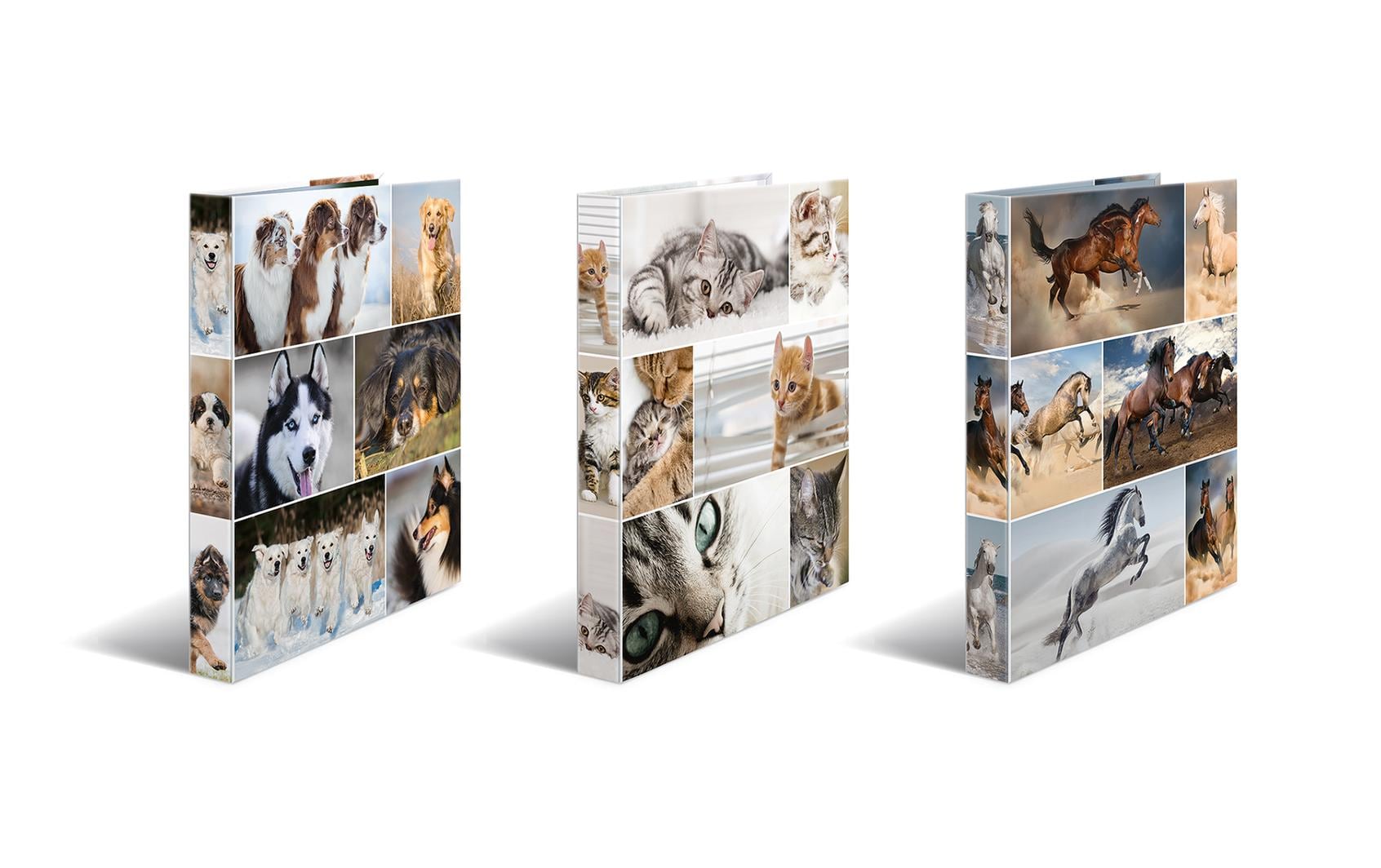 HERMA Zeigebuch Animals – A4 Hochformat – 2-Ring Bügelmechanik, Rücken 35 mm – Mehrfarbig, Karton, mit Niederhalte