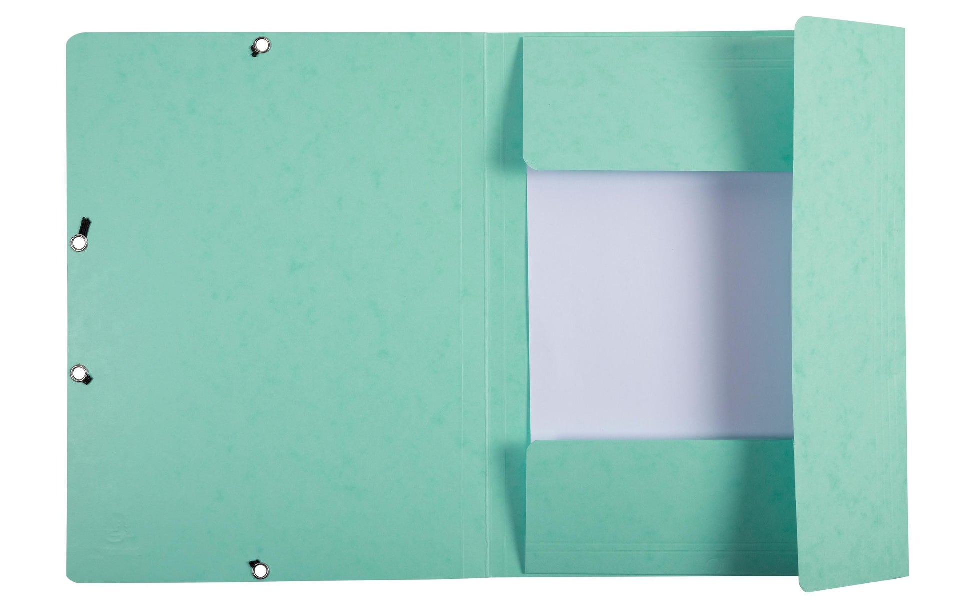 Exacompta Aquarel Gummibandmappe A4 – Karton, Grün, bis 250 Blatt