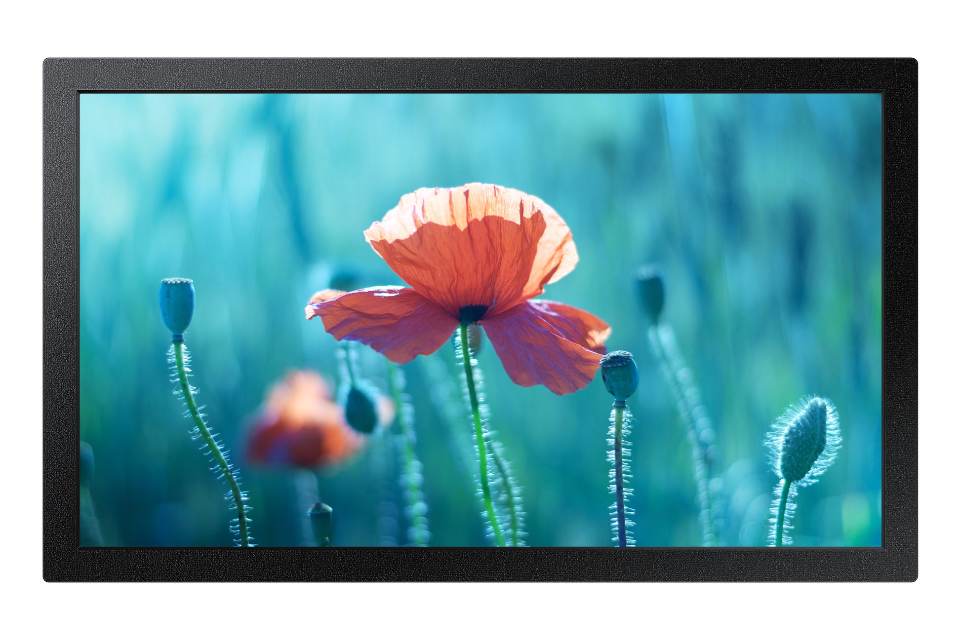 Samsung QB13R – Signage-Display, 13", Full HD, 500 cd/m², 16/7