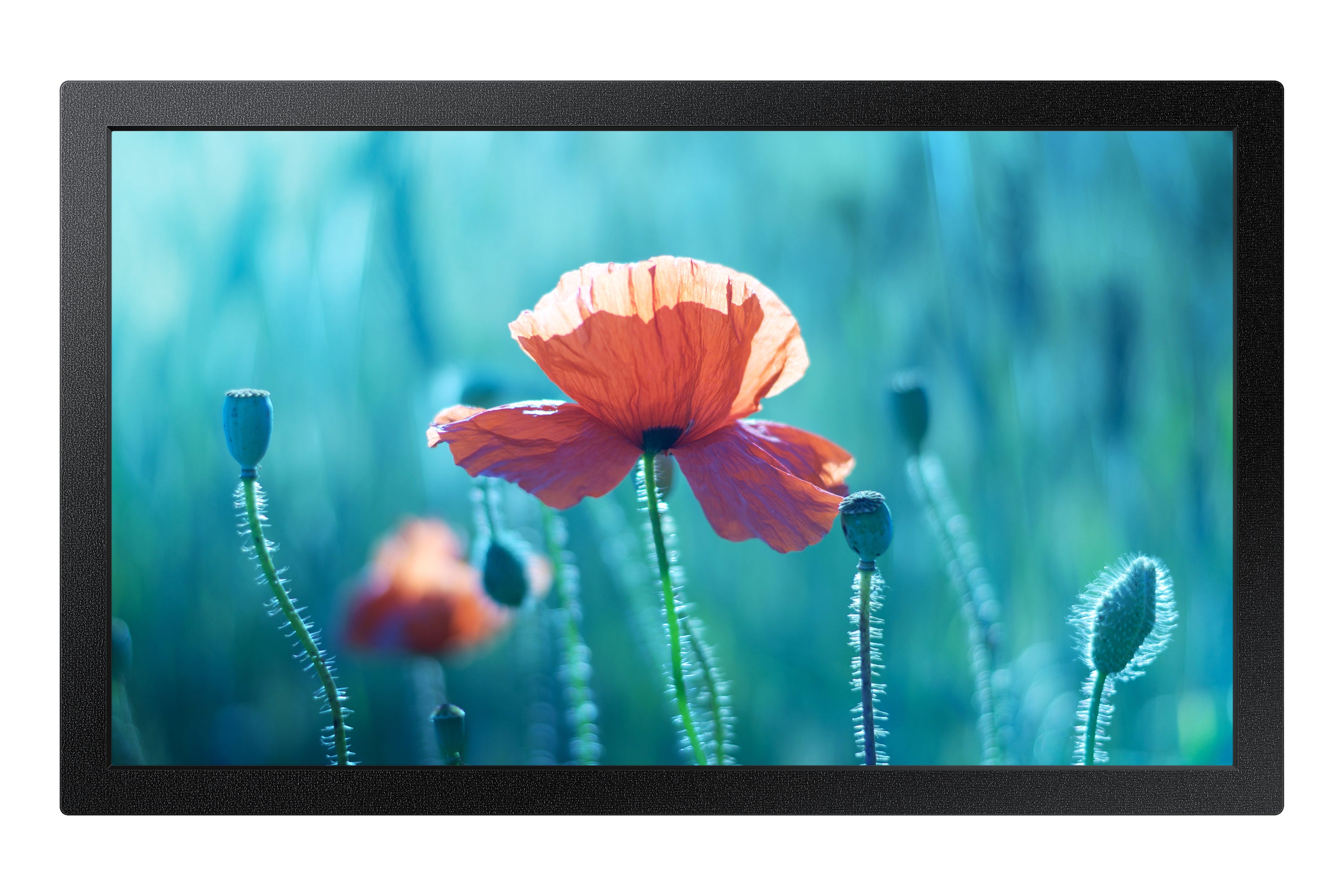Samsung QB13R – Signage-Display, 13", Full HD, 500 cd/m², 16/7