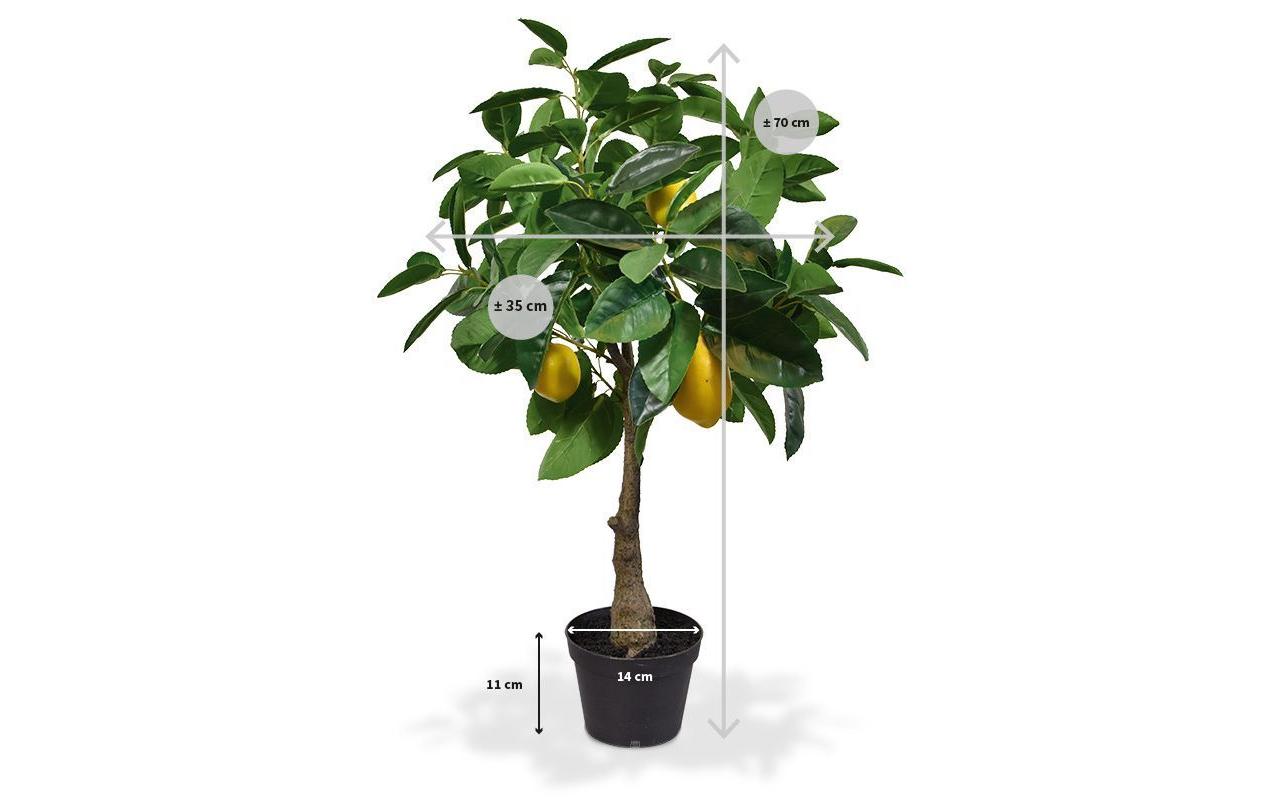Botanic-Haus Künstlicher Zitronenbaum – Ø 35 × 70 cm – Kunststoff & Polyester, Grün
