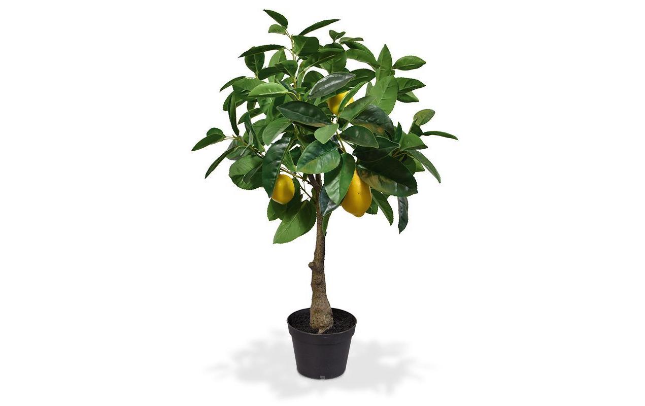 Botanic-Haus Künstlicher Zitronenbaum – Ø 35 × 70 cm – Kunststoff & Polyester, Grün