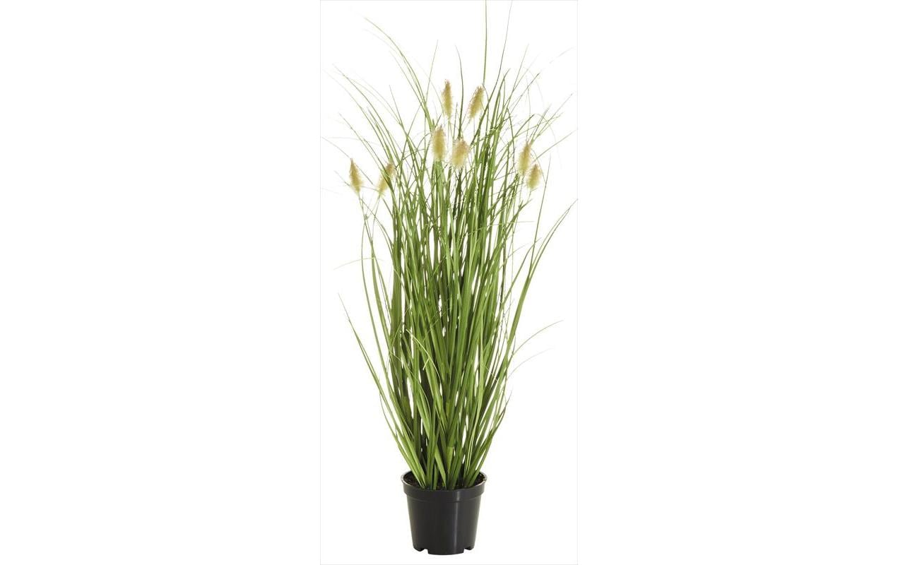 Botanic-Haus Topfpflanze – 46 cm – Polyethylen (PE), Grün