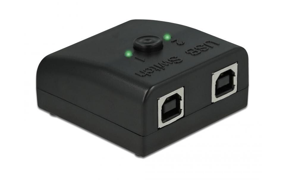 DeLOCK Seriell-Umschalter RS-232 (DB9) zu 2× USB-B – FTDI FT231XS, für Windows 8.1/10, Schwarz