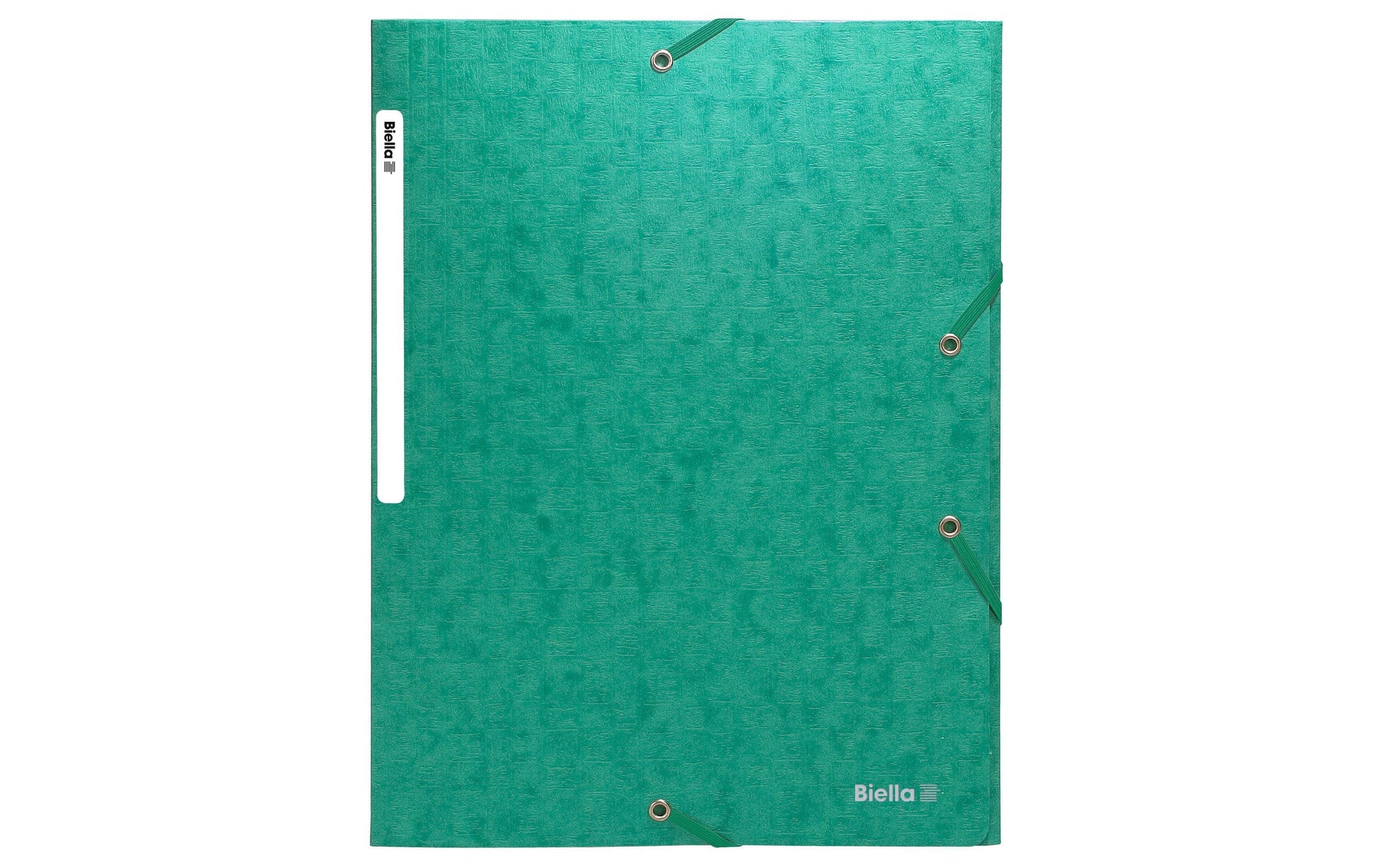 Biella Sammelmappe für A4, Karton, Grün, mit Gummizug