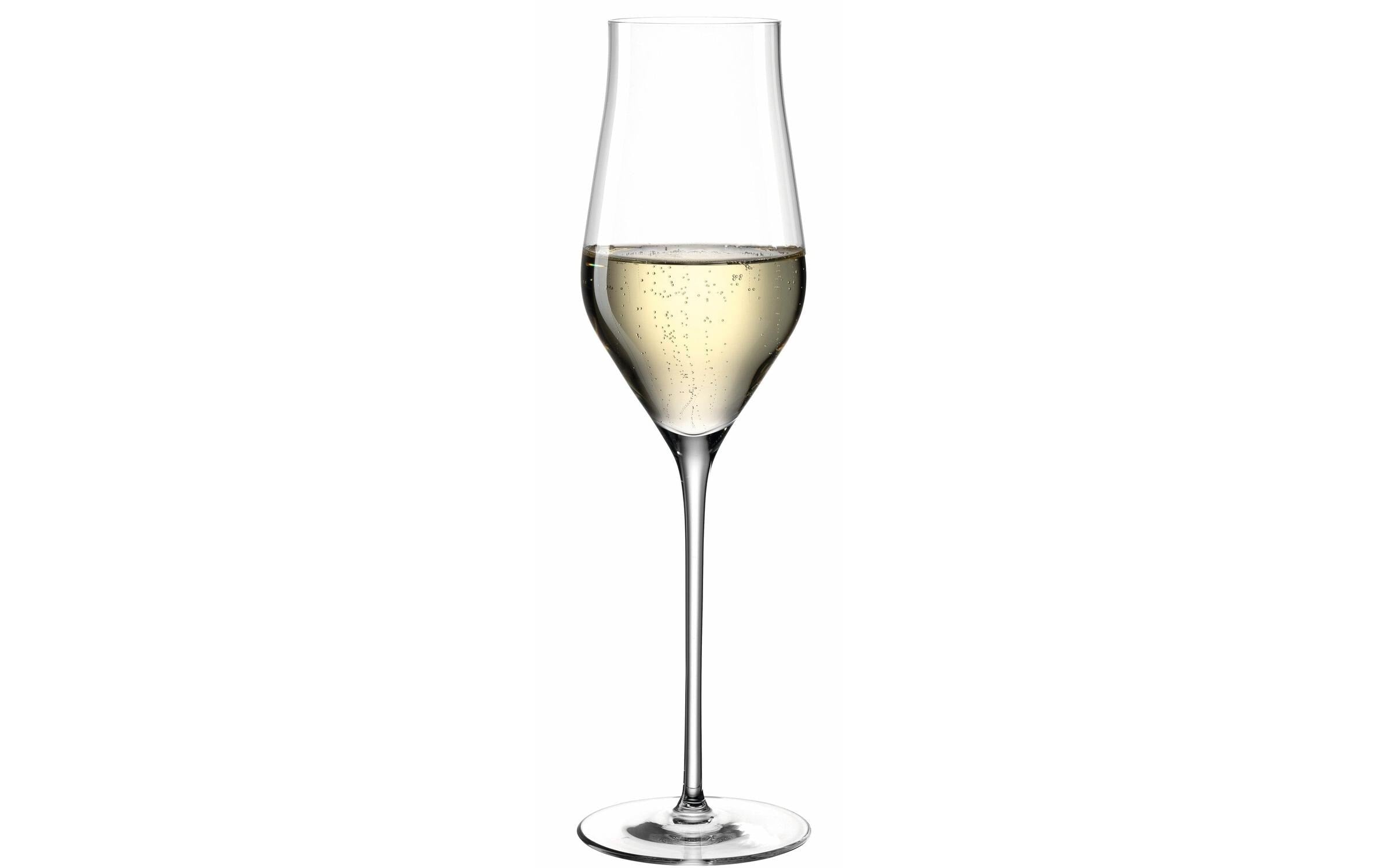 LEONARDO Champagnerglas – 0,34 l, Kristallglas, Transparent, spülmaschinenfest, stossfest, 6 Stück