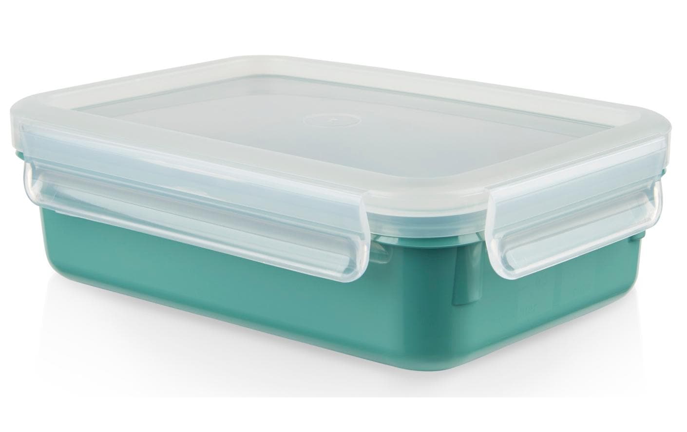 EMSA Vorratsdose 800 ml, 19,5 × 13,3 × 5,8 cm, Polypropylen (PP)/TPE, Grün